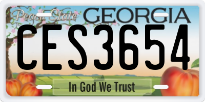 GA license plate CES3654