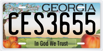 GA license plate CES3655