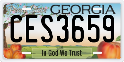 GA license plate CES3659