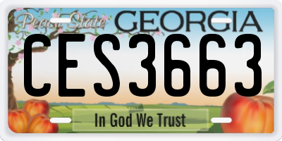 GA license plate CES3663