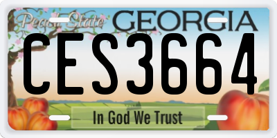 GA license plate CES3664