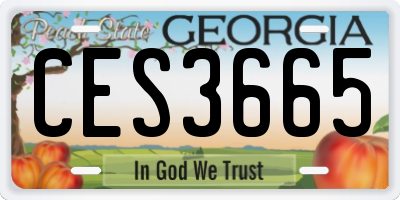 GA license plate CES3665