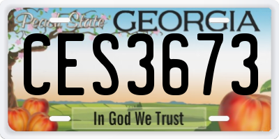 GA license plate CES3673