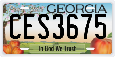 GA license plate CES3675