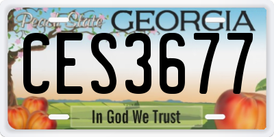 GA license plate CES3677