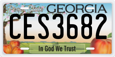 GA license plate CES3682