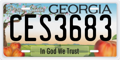 GA license plate CES3683