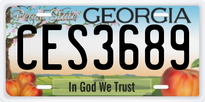 GA license plate CES3689