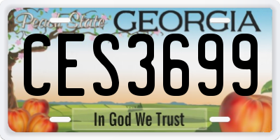 GA license plate CES3699