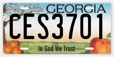 GA license plate CES3701