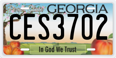 GA license plate CES3702