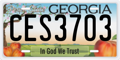 GA license plate CES3703