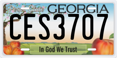 GA license plate CES3707