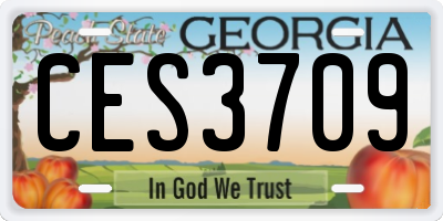 GA license plate CES3709