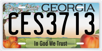 GA license plate CES3713