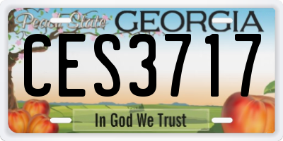 GA license plate CES3717