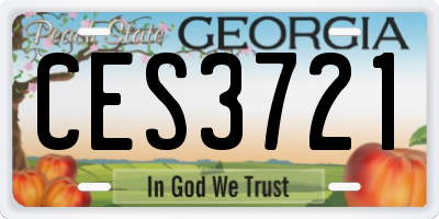 GA license plate CES3721