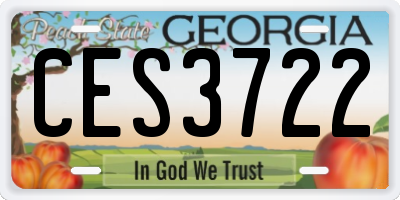 GA license plate CES3722