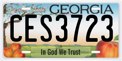 GA license plate CES3723