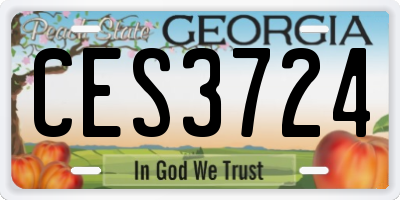 GA license plate CES3724