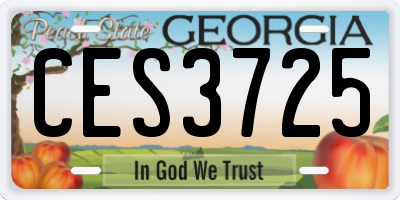 GA license plate CES3725