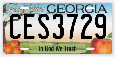 GA license plate CES3729