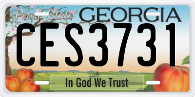 GA license plate CES3731