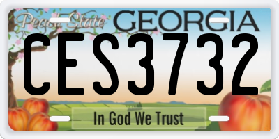 GA license plate CES3732
