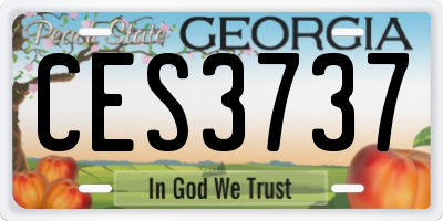 GA license plate CES3737