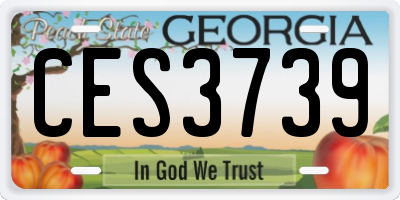 GA license plate CES3739