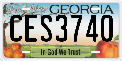 GA license plate CES3740