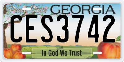 GA license plate CES3742