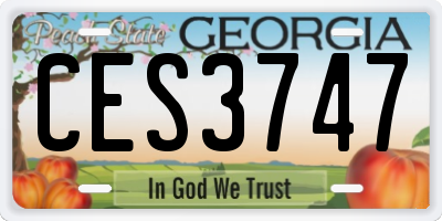 GA license plate CES3747