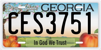 GA license plate CES3751