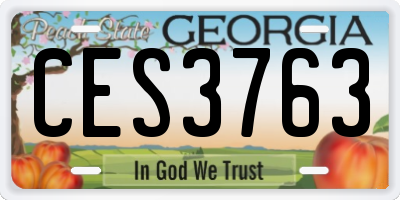GA license plate CES3763