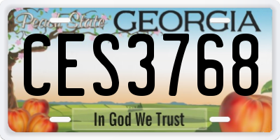 GA license plate CES3768