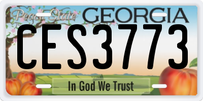 GA license plate CES3773