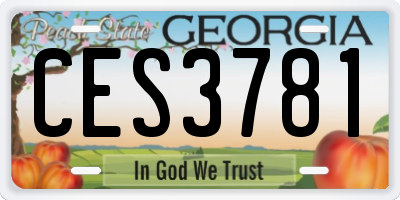 GA license plate CES3781
