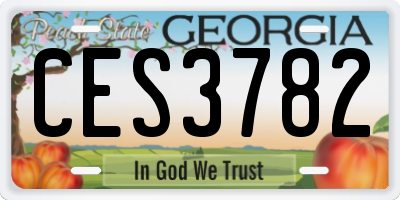 GA license plate CES3782