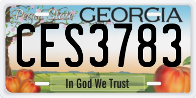 GA license plate CES3783