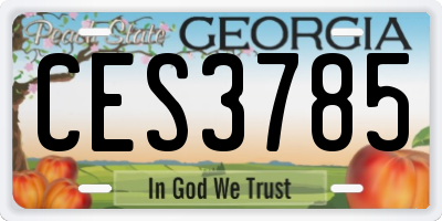 GA license plate CES3785