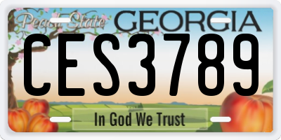 GA license plate CES3789