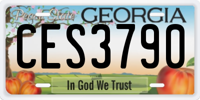 GA license plate CES3790