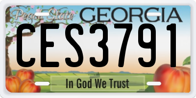 GA license plate CES3791