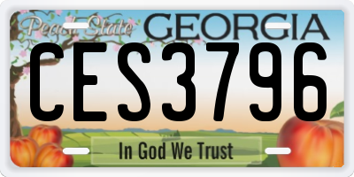 GA license plate CES3796