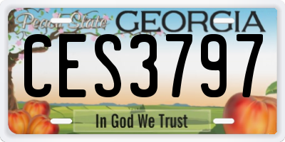 GA license plate CES3797