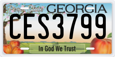 GA license plate CES3799