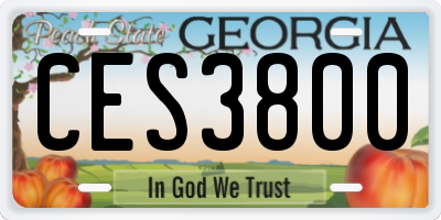 GA license plate CES3800
