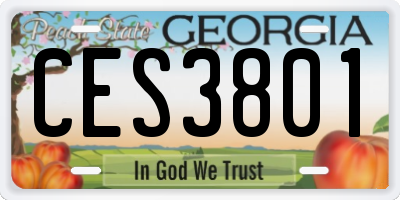 GA license plate CES3801