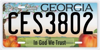 GA license plate CES3802
